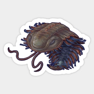 Triarthus eatoni (trilobite) Sticker